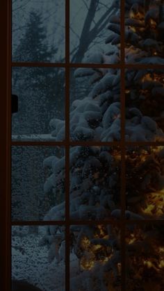 a window with snow on the ground and trees outside it, lit up by christmas lights