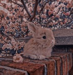 a rabbit sitting on top of a brick wall next to a tree with pink flowers