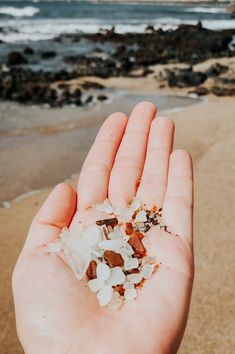 a hand is holding some sea shells on the beach