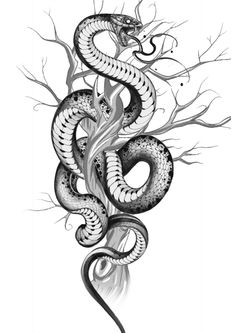 a black and white drawing of a snake on the side of a tree with no leaves