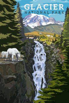 Prints (Glacier National Park, Montana, Mountain Goats & Waterfall, Lantern Press Artwork) Decor-Prints Lantern Press National Parks Posters, Washington Mountains, Mountain Goats, Glacier National Park Montana, Mount Rainier National Park, Retro Travel Poster, Mt Rainier, Rainier National Park, Mountain Goat