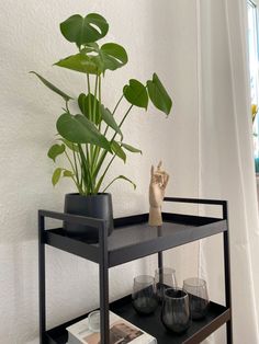 a black shelf with a potted plant on it