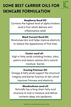 Some Best Carrier Oils For Skincare Formulation Carrier Oil Magical Properties, Nourishing Oils For Skin, Best Carrier Oil For Essential Oils, Best Carrier Oils For Skin, Carrier Oil Benefits, Essential Oil Ratio To Carrier Oil, Skincare Formulation