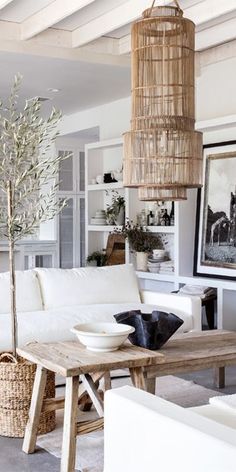 a living room filled with white furniture and a large tree in the middle of it