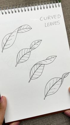 Instagram Nature Line Drawing Simple, How To Draw Swirls, Circle Flowers Drawing, Different Leaf Shapes, Flower Drawing Guide, Pathos Plant Drawing, Easy Leaves Drawing, How To Draw Sketches Step By Step, How To Draw Doodles Step By Step Zen Tangles