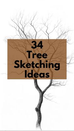 Find tree sketching ideas to bring the beauty of nature into your drawings. Ideal for artists looking to practice organic shapes and textures. Tree Pen Sketch Simple, Drawings Of Trees, Tree Trunk Drawing, Ink Tree, Texture Sketch, Drawing Trees, Wood Drawing, Tree Doodle, Tree Bark Texture