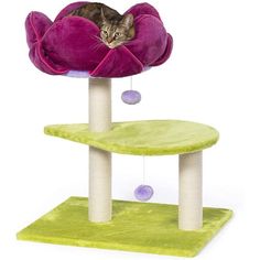 a cat laying on top of a purple and green cat tree