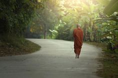 a monk walking down a path in the middle of some trees and bushes on both sides