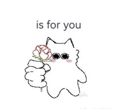 a white cat holding a rose with the words is for you