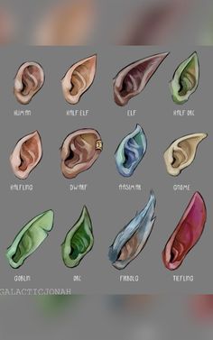 an image of different types of ear shapes