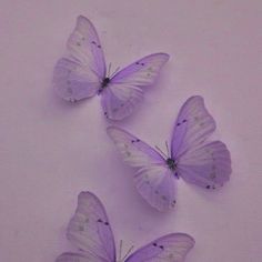 three purple butterflies sitting on top of a white surface