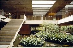 the inside of a building with plants and stairs