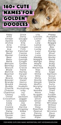 a poster with the names for golden doodles