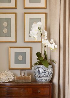 a vase with white flowers sitting on top of a wooden dresser next to framed pictures