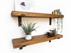 two wooden shelves with plants and cups on them