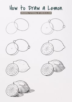 how to draw a lemon with simple pencils step by step instructions for beginners