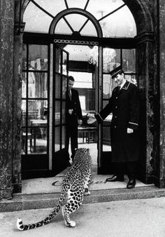 a man in uniform standing next to a cheetah on the sidewalk near an entrance