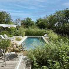 an outdoor pool surrounded by greenery and trees with chairs around it, in the middle of a garden