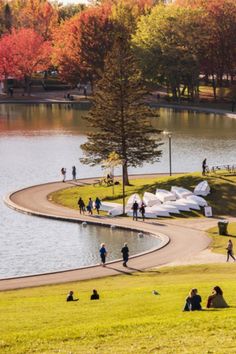 many people are sitting on the grass near a lake and some trees with orange leaves