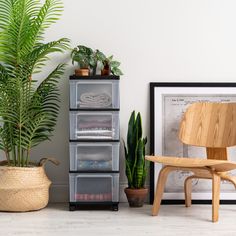 a chair, potted plant and other items in a room with white walls on the floor