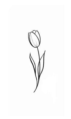 a black and white drawing of a single tulip on a white background with the words,