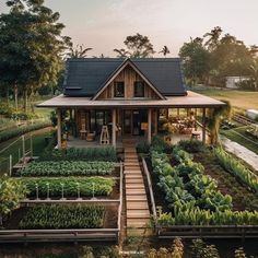 an image of a house that is in the middle of some vegetables and plants growing