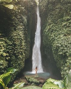 a man standing in front of a waterfall surrounded by lush green trees and foliages