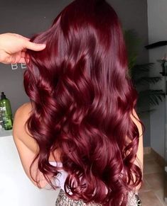 Wine Hair Color, Winter Hair Colors, Rambut Brunette, Wine Red Hair