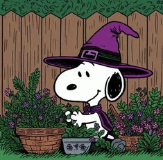 a cartoon dog dressed as a witch picking flowers in a garden with a wooden fence behind it