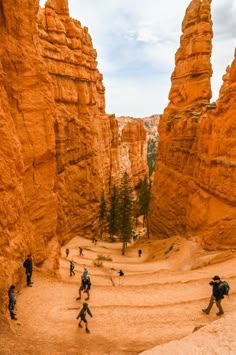 people hiking in the desert near large rock formations