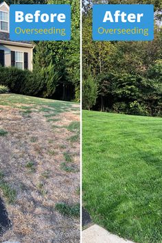 before and after photos of a lawn being mowed