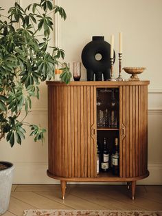 a wooden cabinet sitting next to a potted plant on top of a hard wood floor