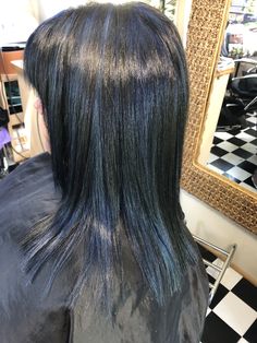 Dark Blue Hair With Highlights, Black And Navy Hair, Brown Hair With Navy Blue Highlights, Blue Hair No Bleach, Black And Blue Highlights Hair, Midnight Blue Skunk Stripe Hair, Blue Hair With White Highlights, Navy Blue Chunky Highlights