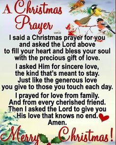 a christmas prayer with birds and holly tree