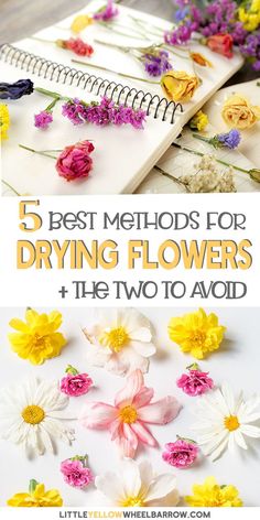 flowers and notebooks with the text 5 best method for drying flowers + he two to avoid