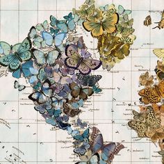 a map with many butterflies on it