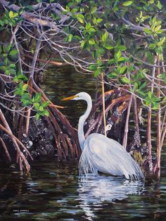 a painting of a white bird in the water surrounded by mangroves and tree branches