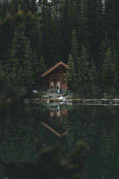 a small cabin sitting on top of a lake surrounded by pine trees and evergreens