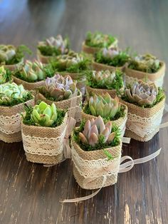 small succulents are wrapped in burlock and tied with twine