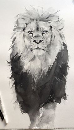 a black and white drawing of a lion