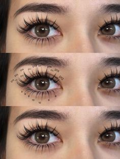 Anime Eyes Lash Extensions, Anime Eyelash Mapping, Anime Lash Extensions Map, Anime Manga Lashes Extensions, Eyelash For Hooded Eyes, Last Cluster Map, Fairy Eyelash Extensions, Manga Lash Cluster Map, Anime Lashes Extensions Map