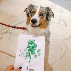 a dog holding up a sign with the word fun written on it and a hand painted shamrock