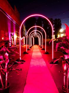 the walkway is lit up with pink lights and plants in pots on either side of it