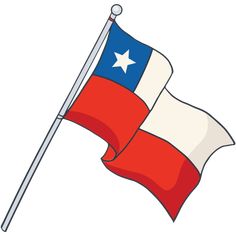 the texas state flag waving in the wind with a star on it's side