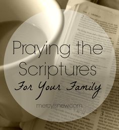 an open book with the words praying the scriptures for your family on top of it