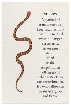 a card with an image of a snake on it's back and the words, snakes