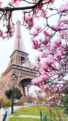 the eiffel tower is surrounded by pink flowers