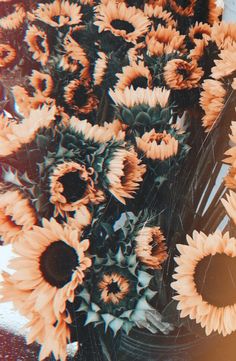 a bunch of sunflowers sitting on top of a table next to each other