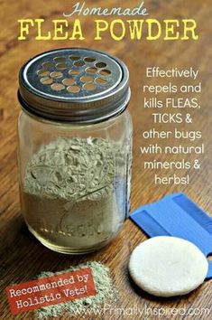 an image of homemade flea powder in a jar