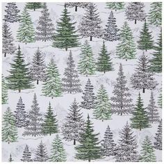 a white background with trees and snow on the ground in front of an evergreen forest